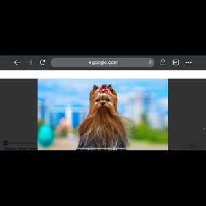 Meet your Posher, Alberto